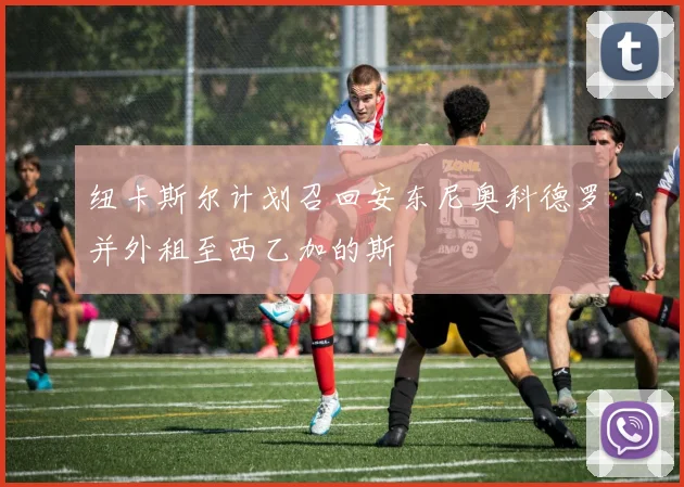 纽卡斯尔计划召回安东尼奥科德罗并外租至西乙加的斯