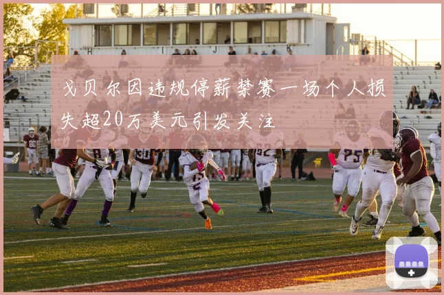 戈贝尔因违规停薪禁赛一场个人损失超20万美元引发关注