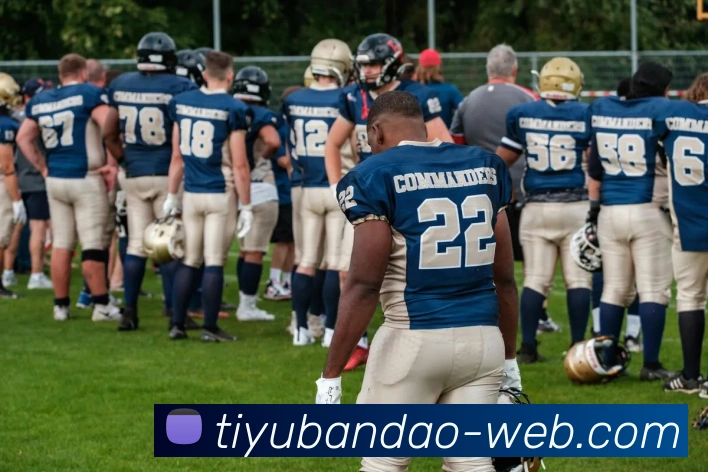 半岛体育APP 封面图